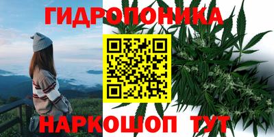твердый Шебекино